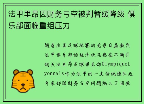 法甲里昂因财务亏空被判暂缓降级 俱乐部面临重组压力